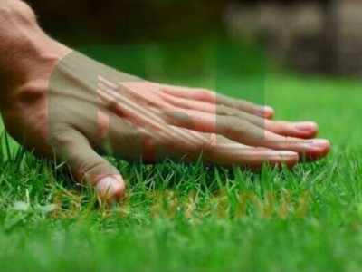 Sửa chữa, bảo dưỡng sân bóng cỏ nhân tạo